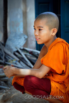 Young Novice Monk at the Monastery
