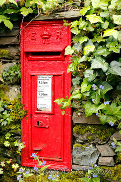Post Box Among Ivy