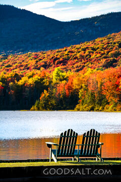 Still Waters in Autumn Rest