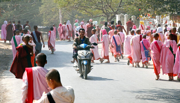Buddhist Monastics on a Sunlit Road