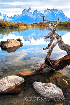 Still Waters Beneath the Mountains