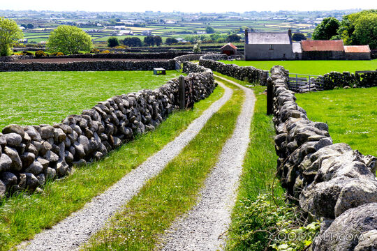 Country Lane Between Stone Walls