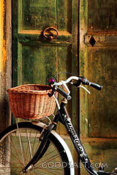 Bicycle at the Weathered Door