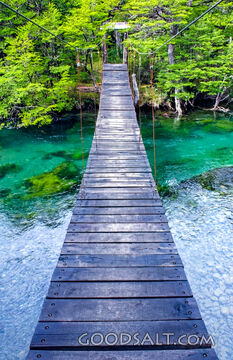 Narrow Bridge Over Living Waters