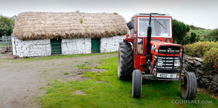 Thatched Farmstead with Tractor