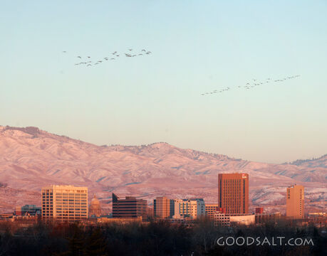 Winter City Beneath the Foothills