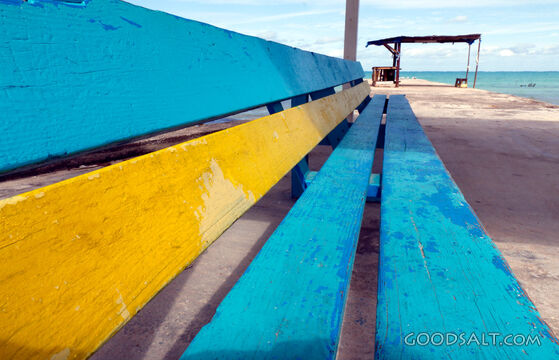 Seaside Bench of Rest