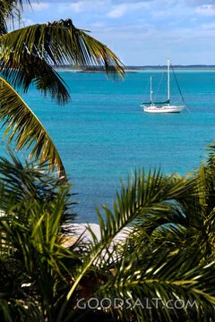 Sailboat Beyond the Palms