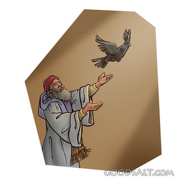 Noah Releases the Dove