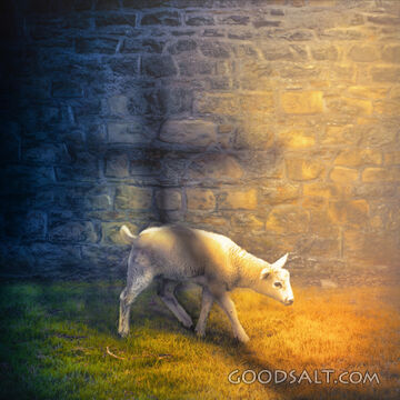 Lamb and cross shadow