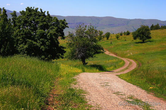 Landscape Path