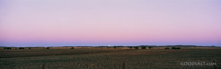 Landscape With Field and Pink Sky
