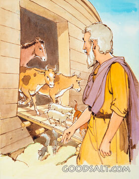 Leaving the Ark