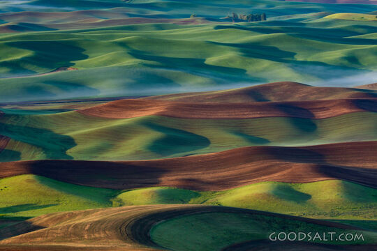 Lifting Fog in the Palouse