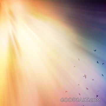 Light Beams