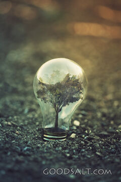 Light Bulb With Tree