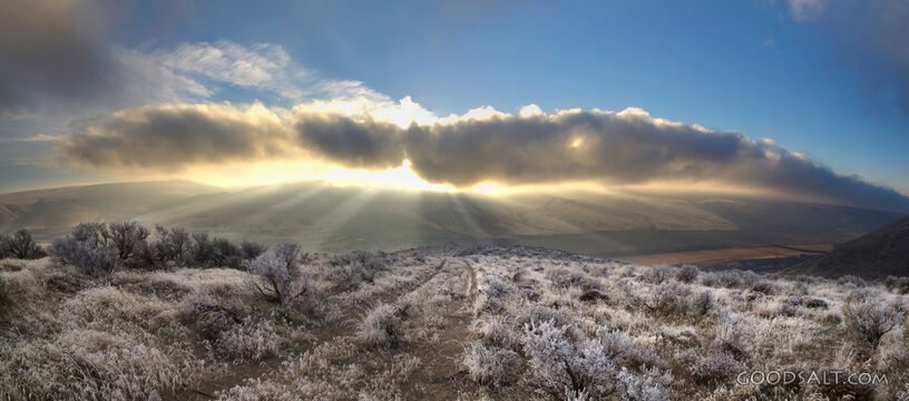 Light From Heaven