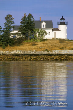 Lighthouse on the Water With Trees