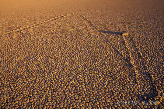 Line in Dry Cracked Desert Floor