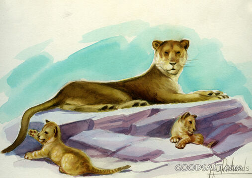 Lions