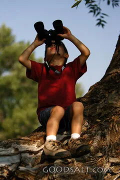Little boy looking through binoculars outdoors in summer.