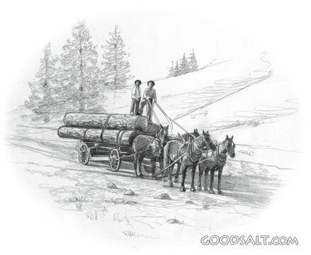 Loggers Hauling Logs
