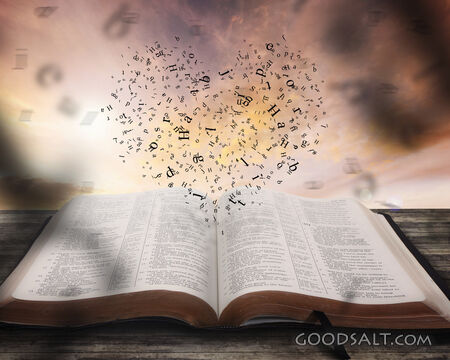 Love Verse
