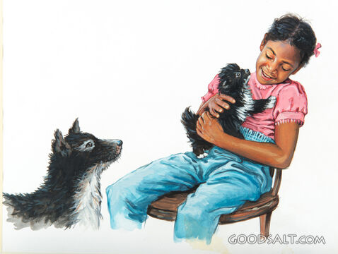Loving Pets
