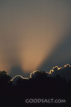 Luminous Clouds
