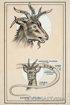 Macedonian Goat