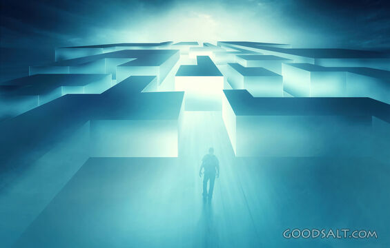 Man and Maze