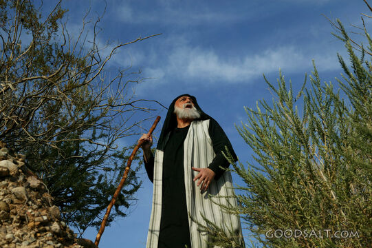 Prophet in the Wilderness