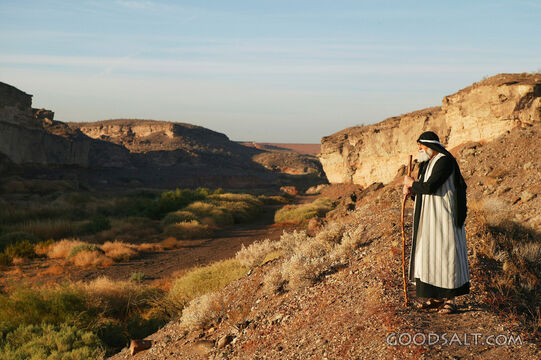 Prophet on the Desert Ridge