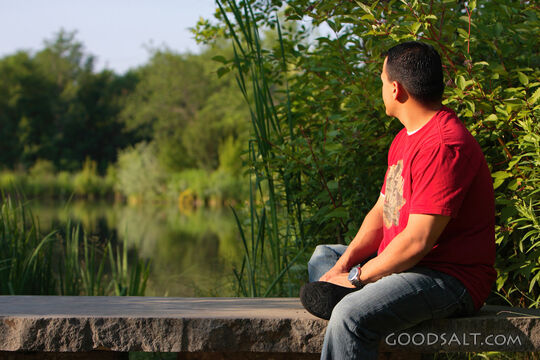 Man gazing across pond in summer.