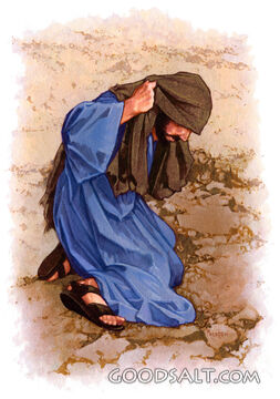 Man on Ground