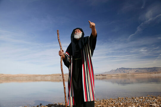 Man With Staff Standing Making a Point