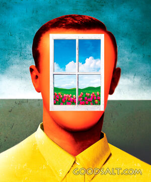 Man With Window in Face