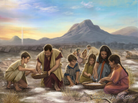 Manna