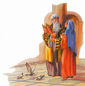Mary Searches for Young Jesus