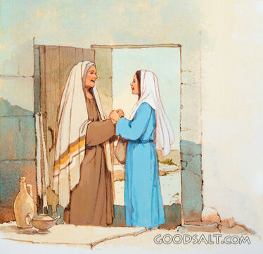 Mary Visits Elizabeth