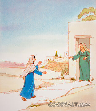 Mary Visits Elizabeth