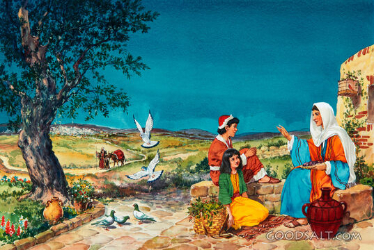 Mary&#039;s Story