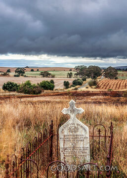 1870 Cross Gravestone in a Farm Field