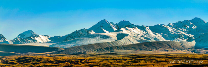 Majestic Snowcapped Mountains and Golden Pasture