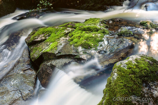 Living Water Over Mossy Stones