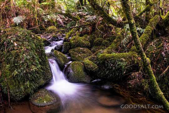 Waters of Quiet Renewal