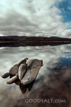 Still Waters and the Rock