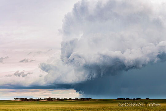 Storm Over the Harvest Field