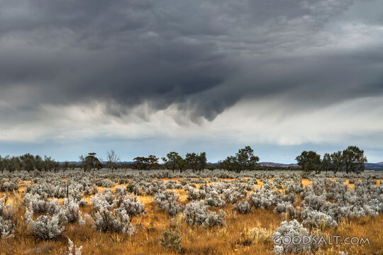 Storm Over the Wilderness