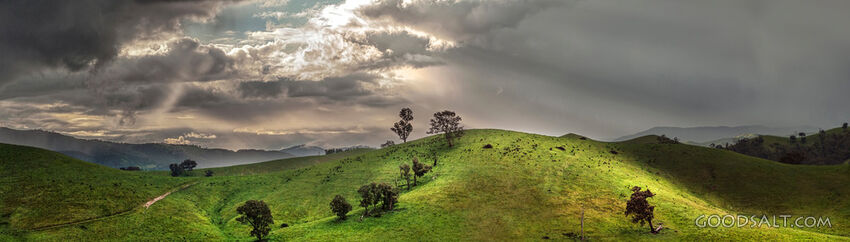 Sunlight Over Wilderness Hills